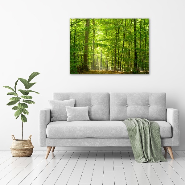 Print on acrylic Deciduous forest