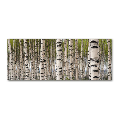 Acrylic wall art Birch forest