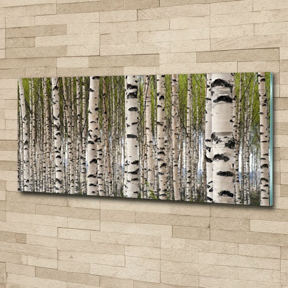 Acrylic wall art Birch forest