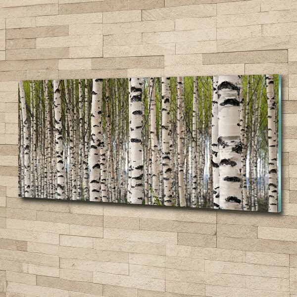 Acrylic wall art Birch forest