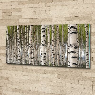 Acrylic wall art Birch forest