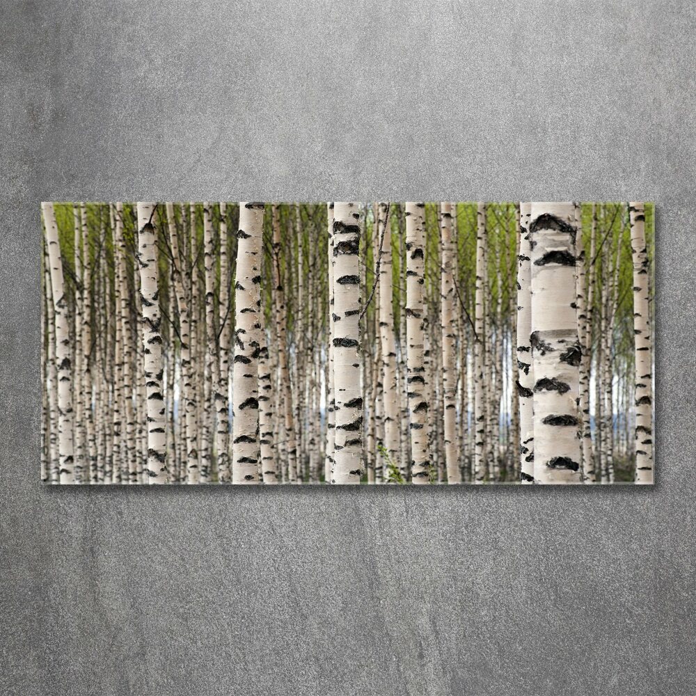 Acrylic wall art Birch forest