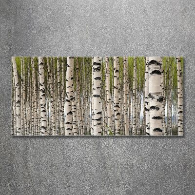 Acrylic wall art Birch forest