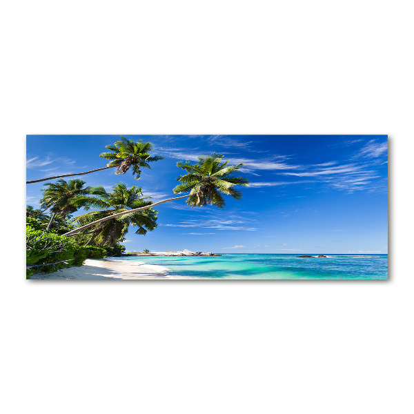 Acrylic wall art Tropical beach