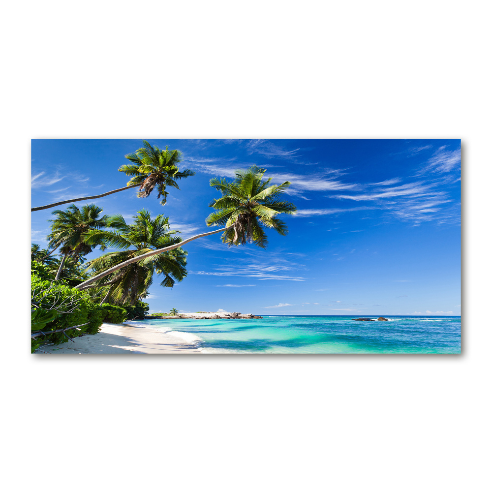 Acrylic wall art Tropical beach