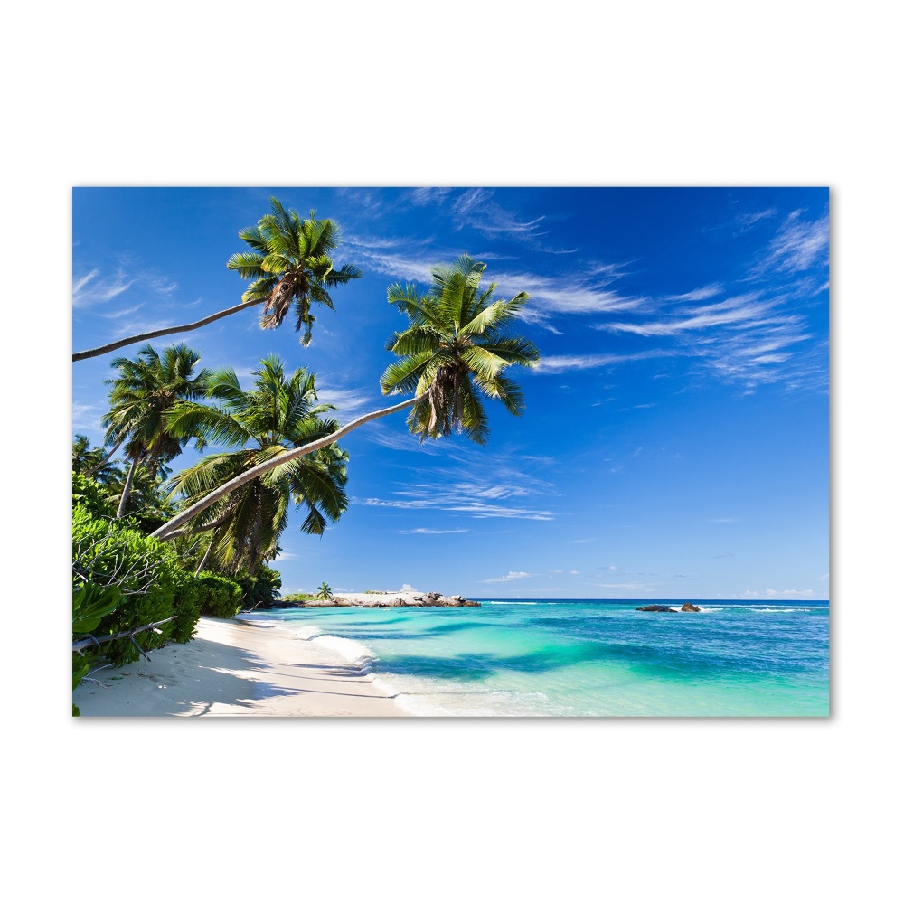 Acrylic wall art Tropical beach