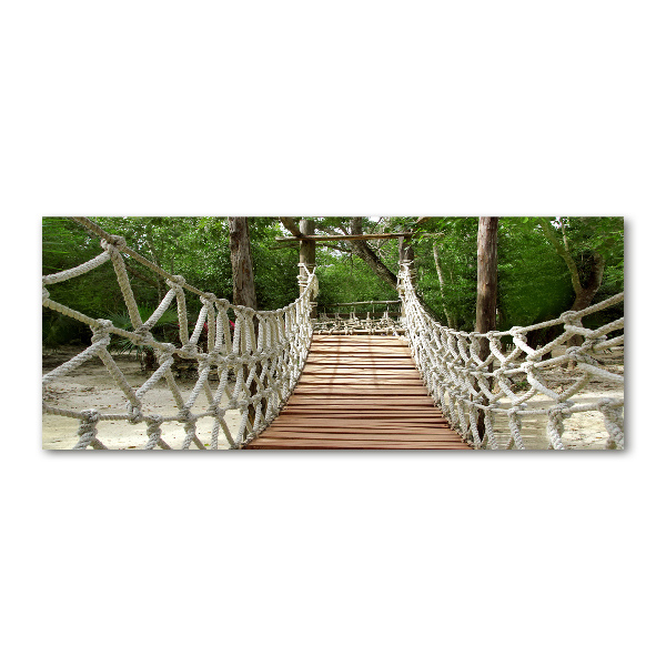 Acrylic print Rope bridge