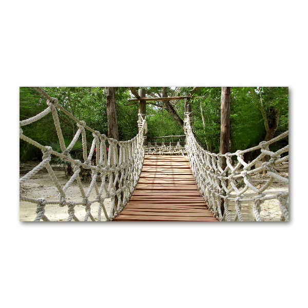 Acrylic print Rope bridge