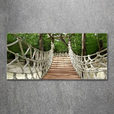 Acrylic print Rope bridge