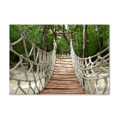 Acrylic print Rope bridge