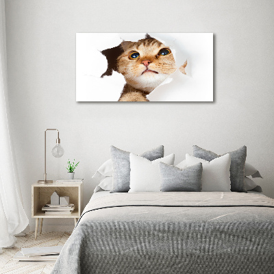 Wall art acrylic Cat in a hole