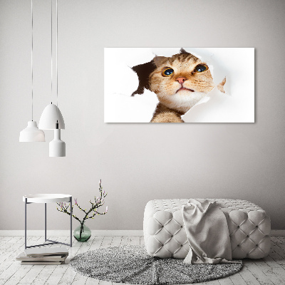 Wall art acrylic Cat in a hole