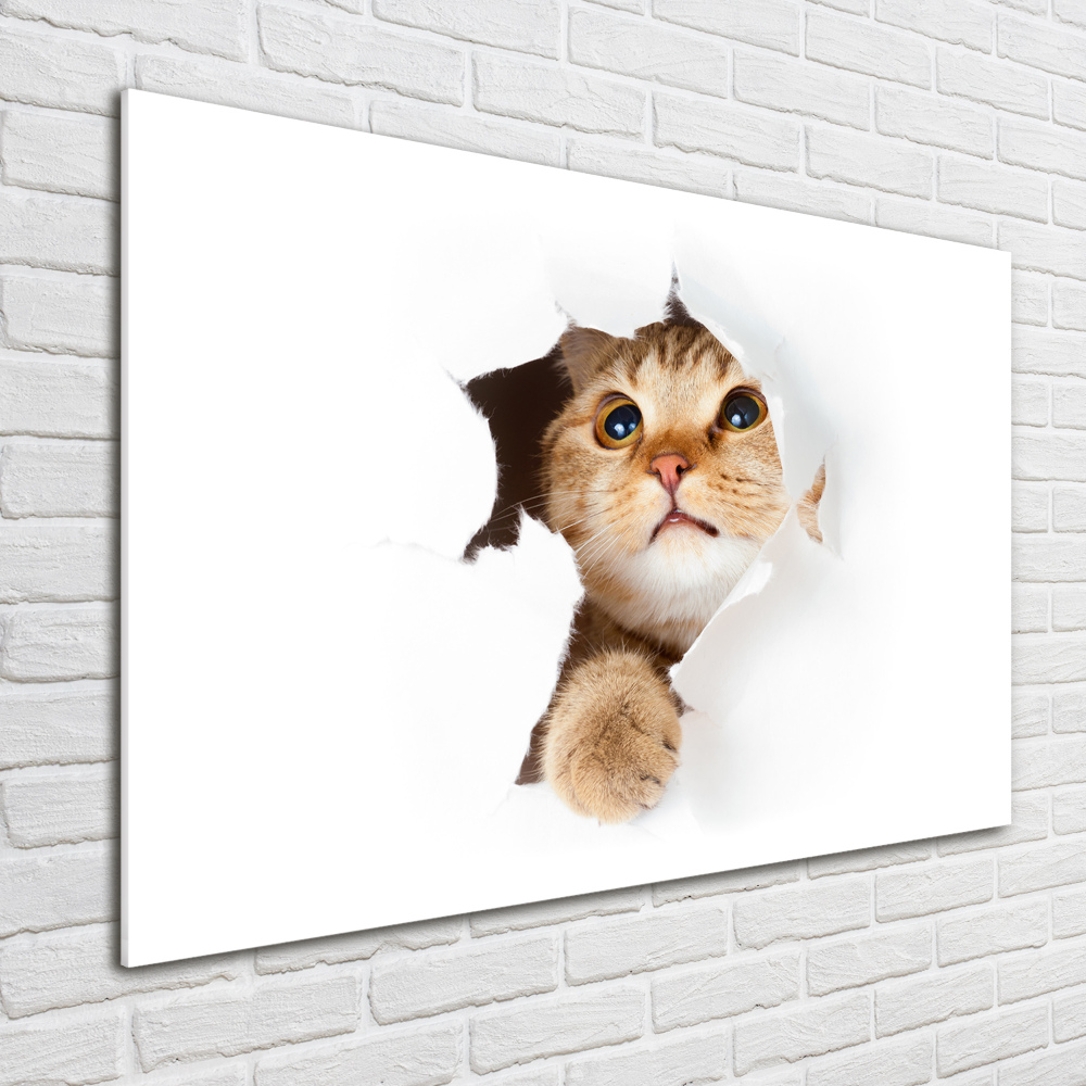 Wall art acrylic Cat in a hole