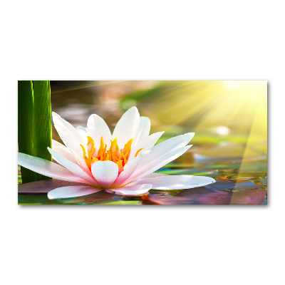 Wall art acrylic water lily