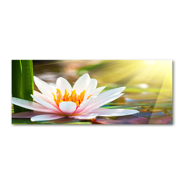 Wall art acrylic water lily