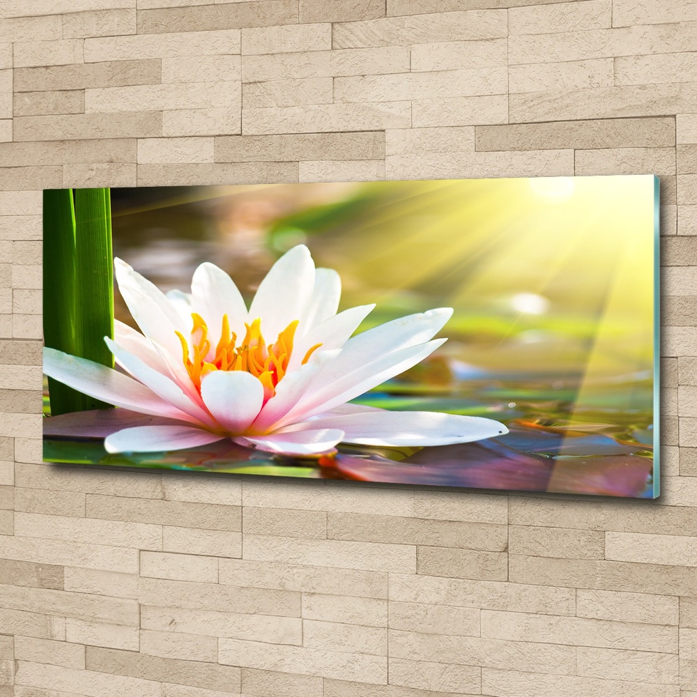 Wall art acrylic water lily