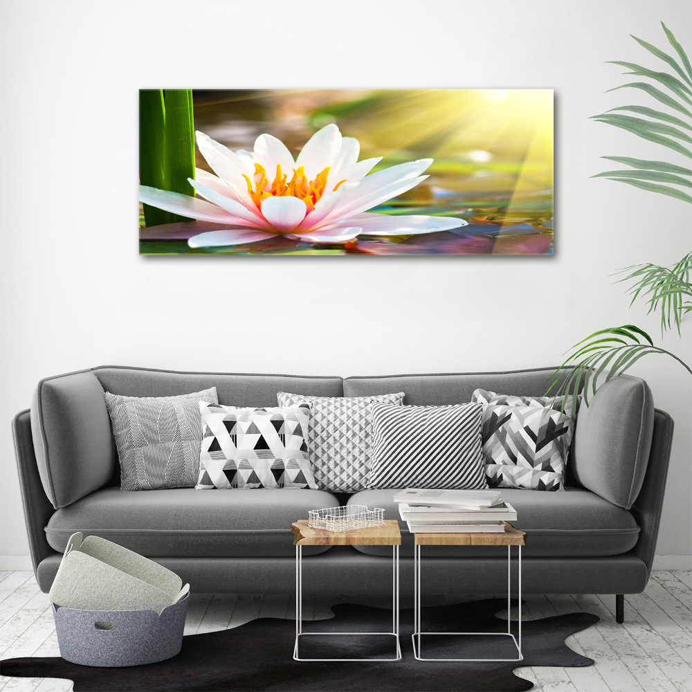 Wall art acrylic water lily