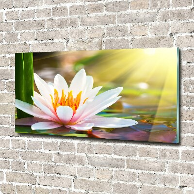 Wall art acrylic water lily