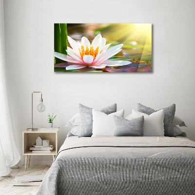 Wall art acrylic water lily