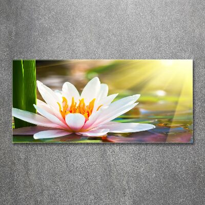 Wall art acrylic water lily