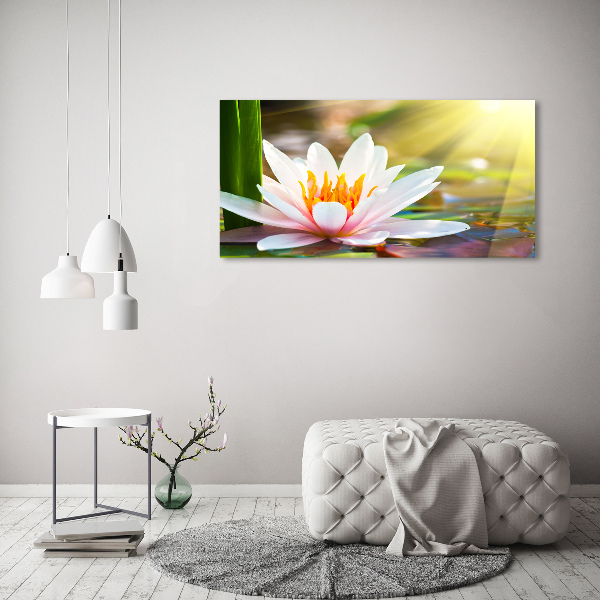 Wall art acrylic water lily