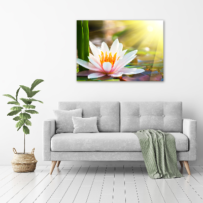 Wall art acrylic water lily