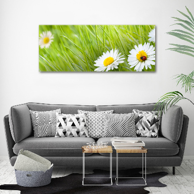 Wall art acrylic Daisy