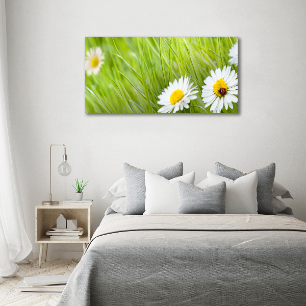 Wall art acrylic Daisy