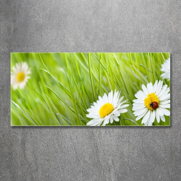 Wall art acrylic Daisy