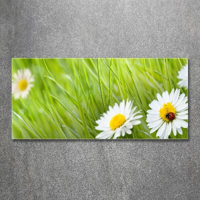 Wall art acrylic Daisy