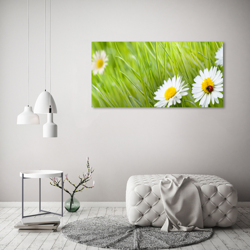 Wall art acrylic Daisy