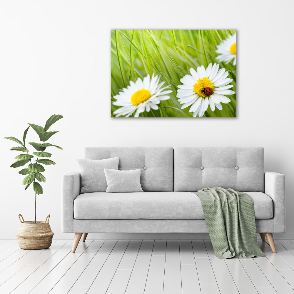 Wall art acrylic Daisy