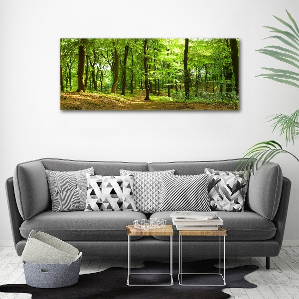 Acrylic print Forest track