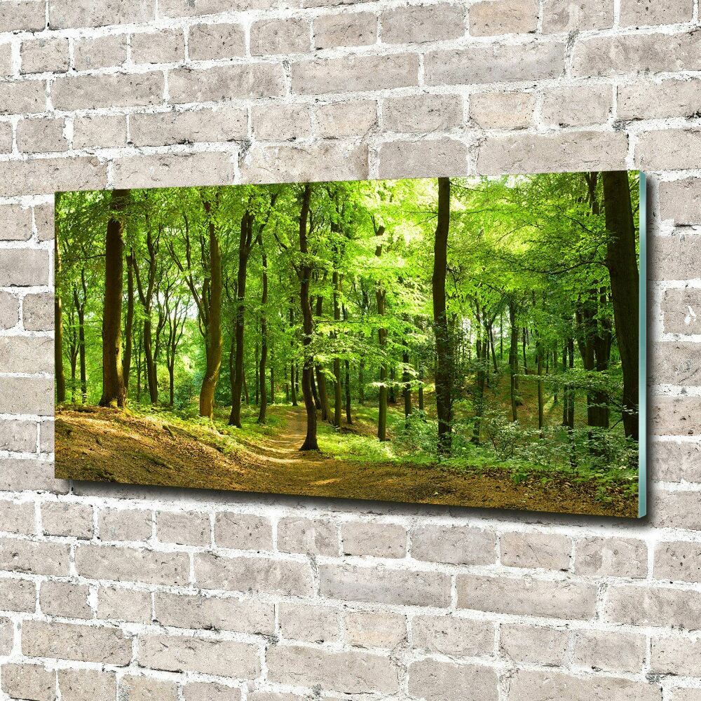 Acrylic print Forest track