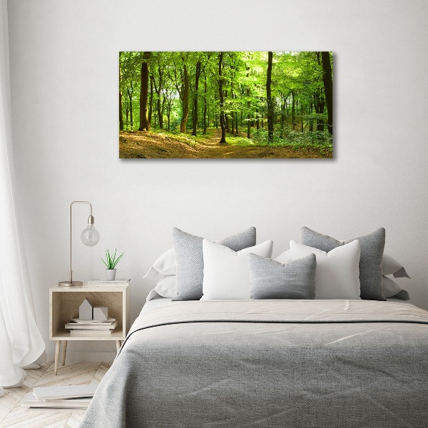 Acrylic print Forest track