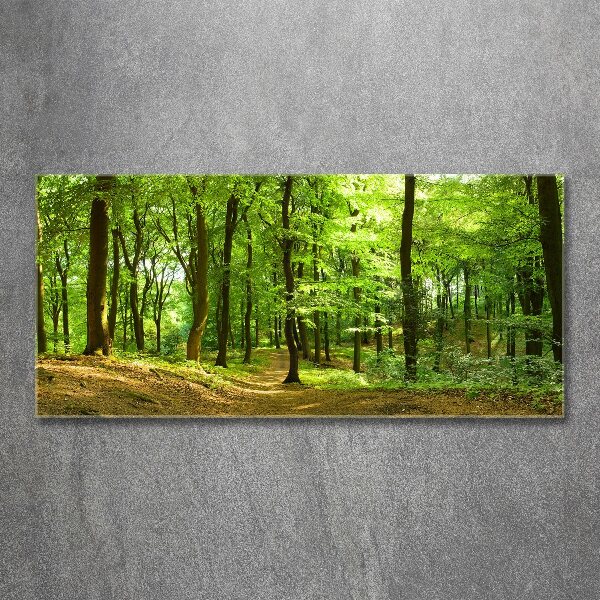 Acrylic print Forest track