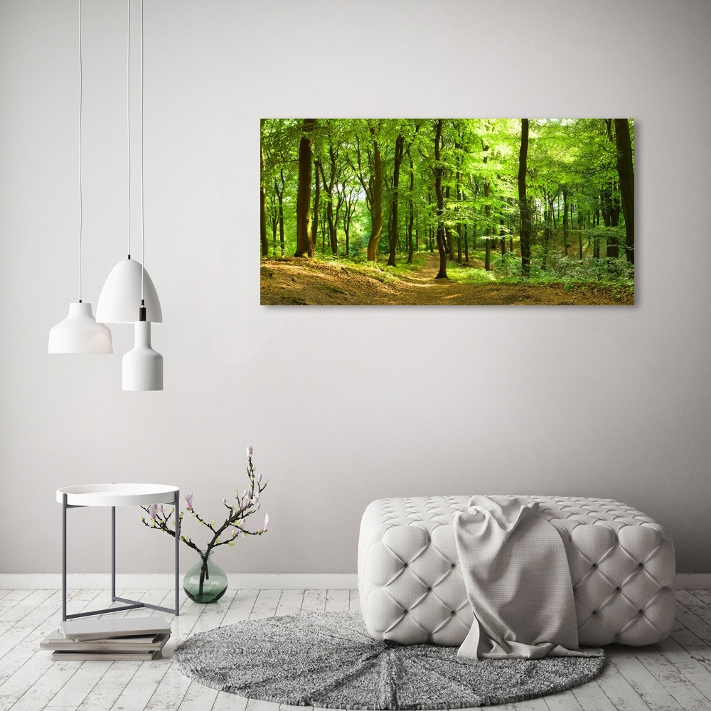 Acrylic print Forest track