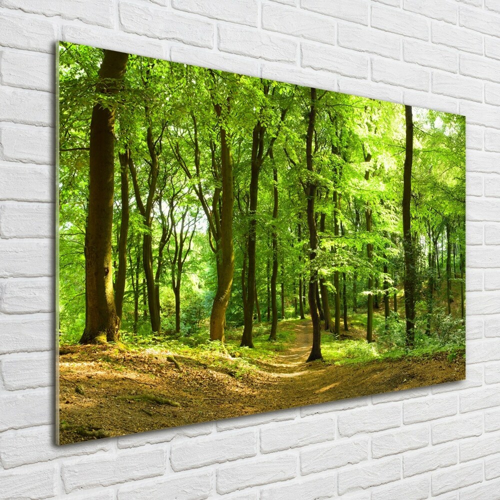 Acrylic print Forest track