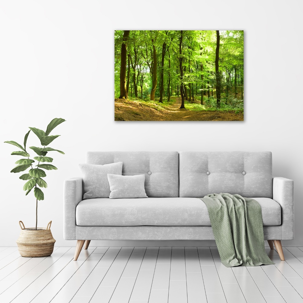 Acrylic print Forest track