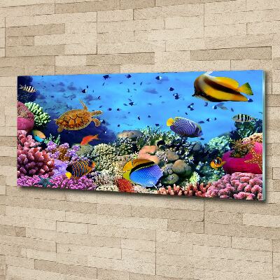 Print on acrylic Coral reef