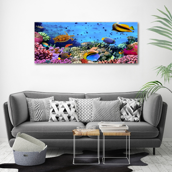 Print on acrylic Coral reef