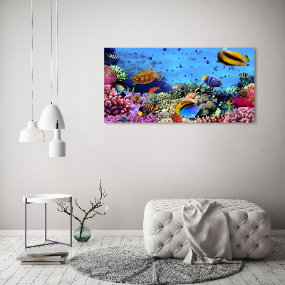 Print on acrylic Coral reef