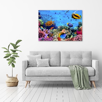 Print on acrylic Coral reef