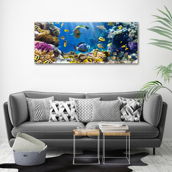 Print on acrylic Coral reef