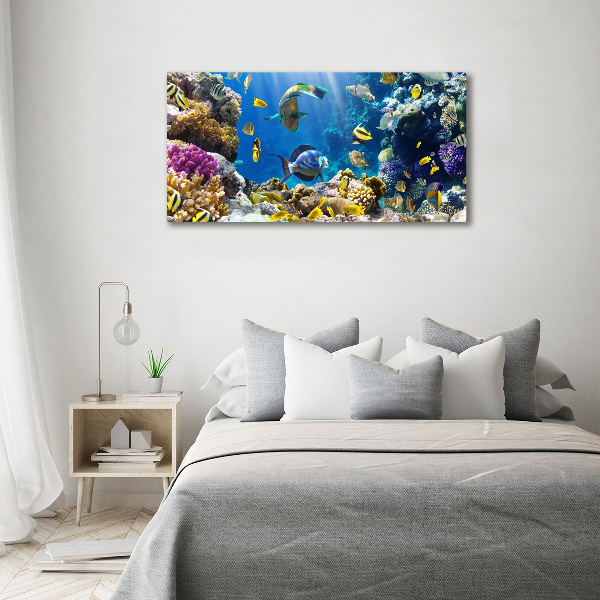 Print on acrylic Coral reef