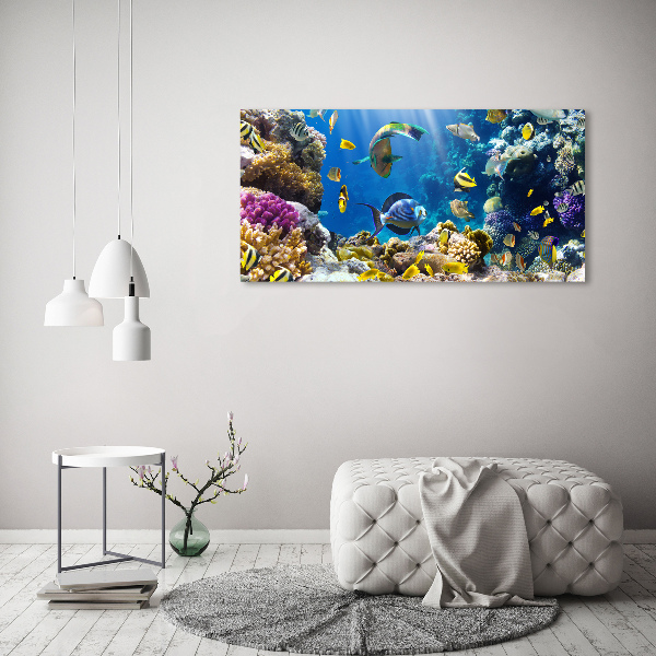 Print on acrylic Coral reef