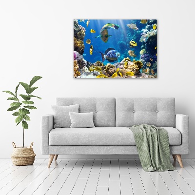 Print on acrylic Coral reef