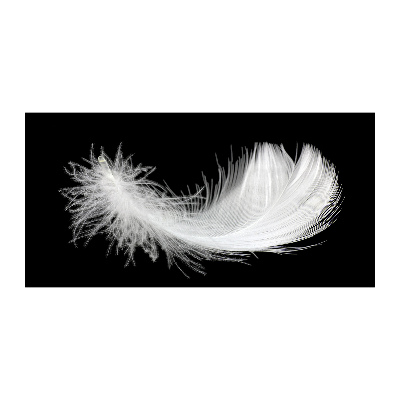 Acrylic wall art Feather