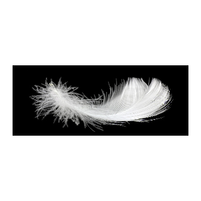 Acrylic wall art Feather