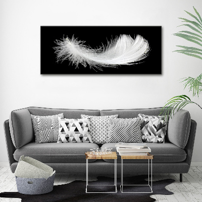 Acrylic wall art Feather